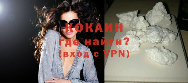 индика Канск