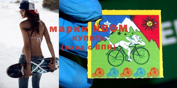 индика Кинешма
