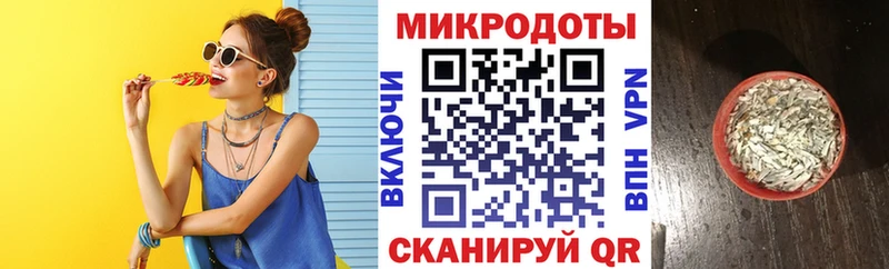 Галлюциногенные грибы Psilocybe  купить наркоту  Кинешма 